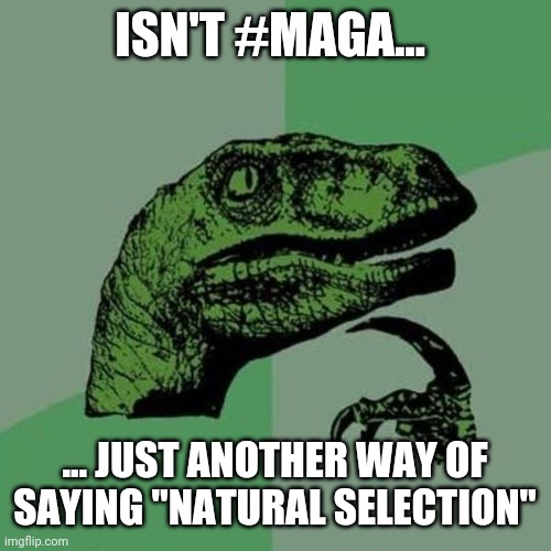 raptor | ISN'T #MAGA... ... JUST ANOTHER WAY OF SAYING "NATURAL SELECTION" | image tagged in raptor | made w/ Imgflip meme maker