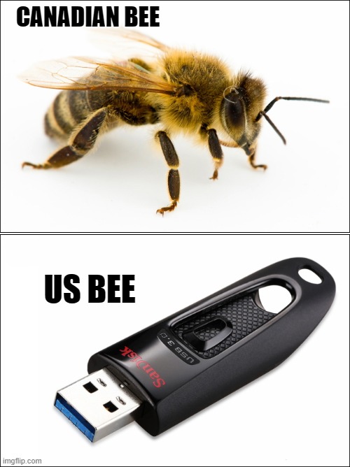 CANADIAN BEE; US BEE | made w/ Imgflip meme maker