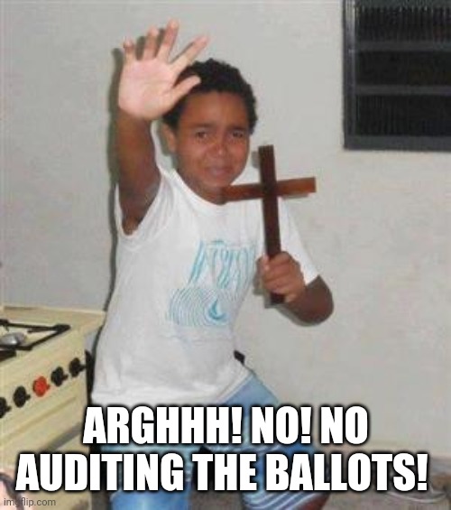 A liberals worst fear | ARGHHH! NO! NO AUDITING THE BALLOTS! | image tagged in scared kid | made w/ Imgflip meme maker