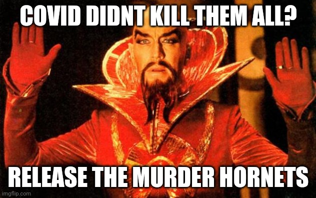 ming murder hornets | COVID DIDNT KILL THEM ALL? RELEASE THE MURDER HORNETS | image tagged in flash gordon | made w/ Imgflip meme maker