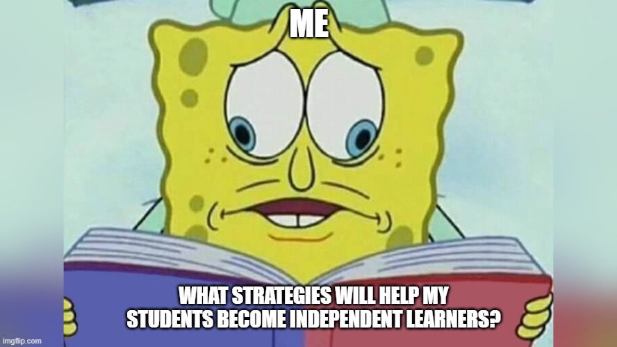 Self-Regulation |  ME; WHAT STRATEGIES WILL HELP MY STUDENTS BECOME INDEPENDENT LEARNERS? | image tagged in memes | made w/ Imgflip meme maker