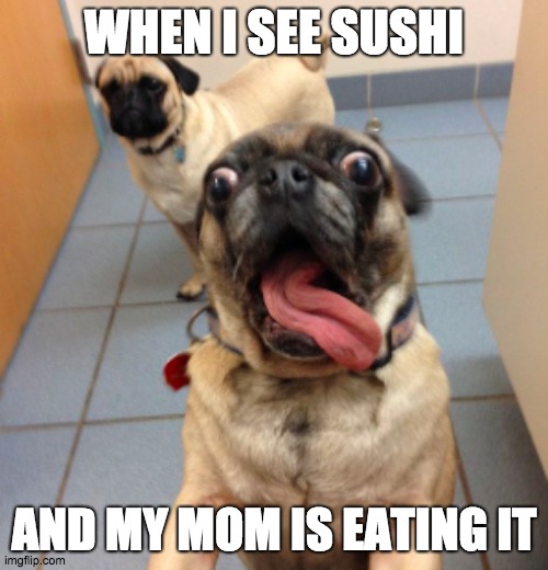 pug that smells something | WHEN I SEE SUSHI; AND MY MOM IS EATING IT | image tagged in pug that smells something | made w/ Imgflip meme maker