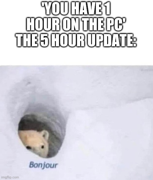 This annoying | 'YOU HAVE 1 HOUR ON THE PC'
THE 5 HOUR UPDATE: | image tagged in bonjour | made w/ Imgflip meme maker