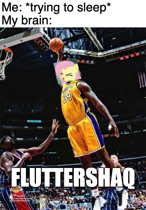 In America, Hoofball is Called Soccer | Me: *trying to sleep*
My brain:; FLUTTERSHAQ | image tagged in memes,my little pony,shaq,fluttershy,yay,basketball | made w/ Imgflip meme maker
