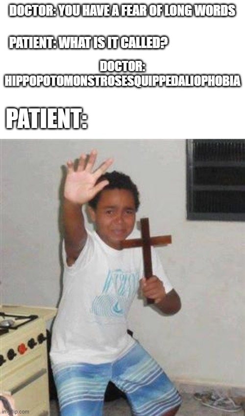 E |  DOCTOR: YOU HAVE A FEAR OF LONG WORDS; PATIENT: WHAT IS IT CALLED? DOCTOR: HIPPOPOTOMONSTROSESQUIPPEDALIOPHOBIA; PATIENT: | image tagged in scared kid | made w/ Imgflip meme maker
