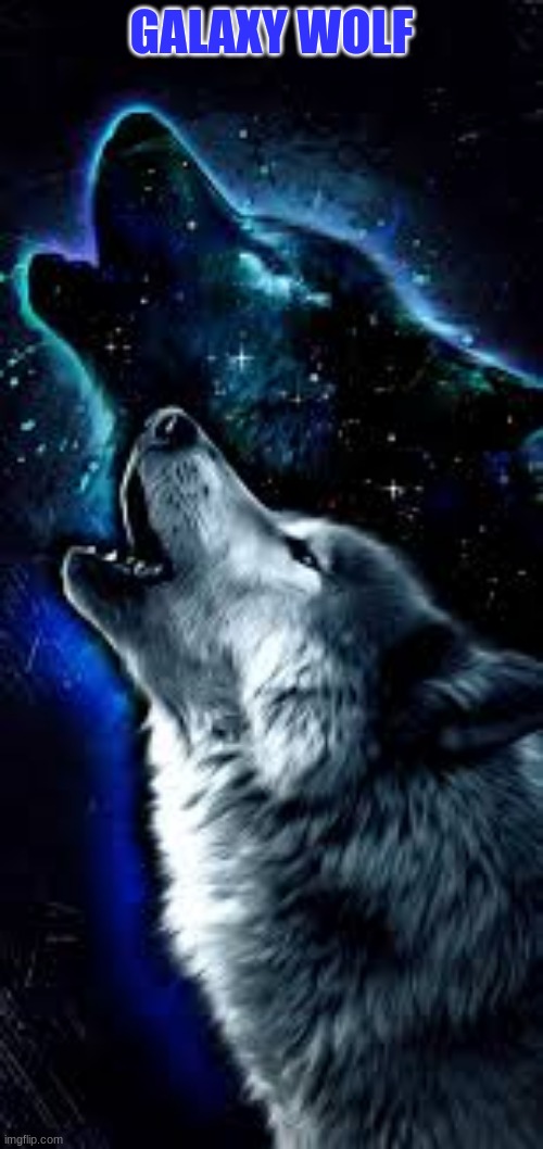 galaxy wolf | GALAXY WOLF | image tagged in galaxy | made w/ Imgflip meme maker