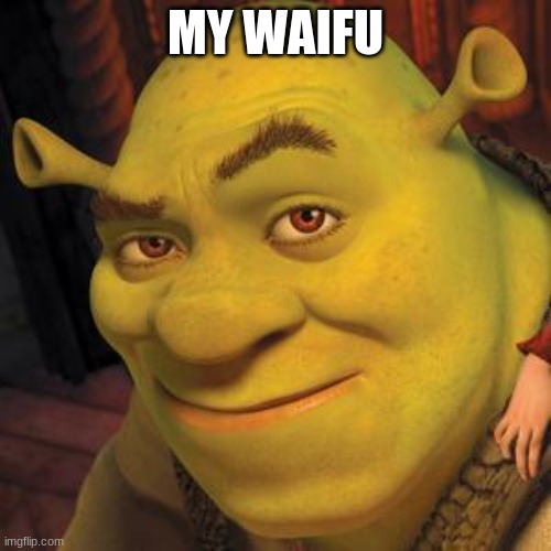 mine | MY WAIFU | image tagged in shrek sexy face | made w/ Imgflip meme maker