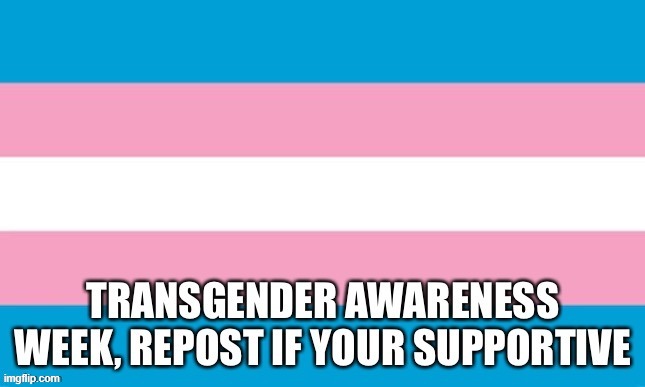 image tagged in lgbtq,transgender,transgender awareness week,memes | made w/ Imgflip meme maker