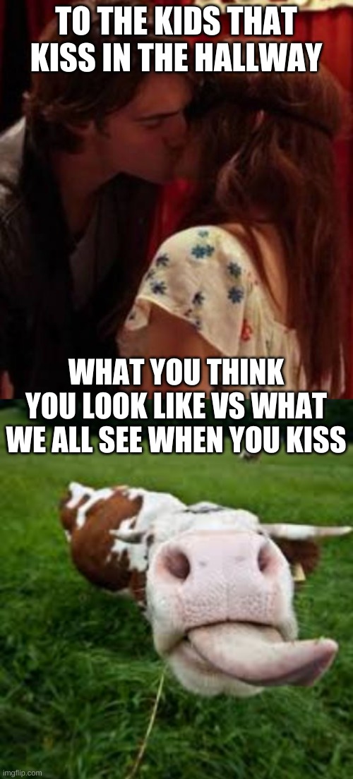 Get a room | TO THE KIDS THAT KISS IN THE HALLWAY; WHAT YOU THINK YOU LOOK LIKE VS WHAT WE ALL SEE WHEN YOU KISS | image tagged in stop | made w/ Imgflip meme maker
