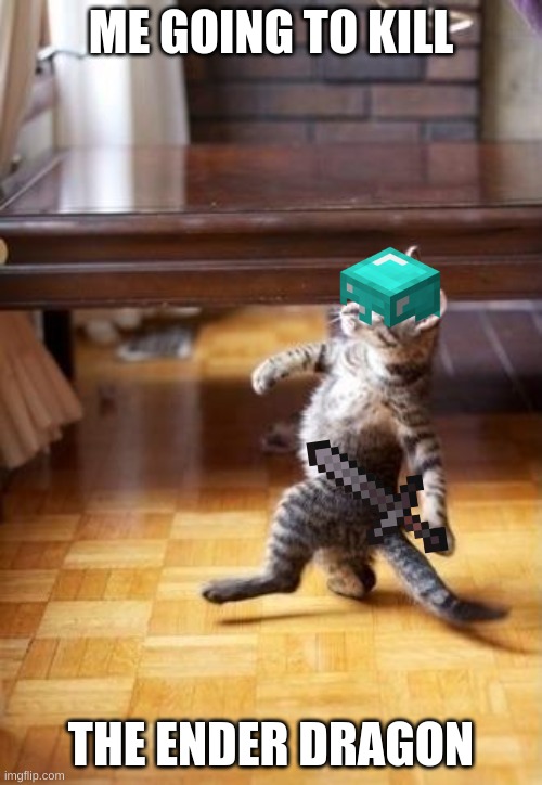 yes | ME GOING TO KILL; THE ENDER DRAGON | image tagged in memes,cool cat stroll | made w/ Imgflip meme maker