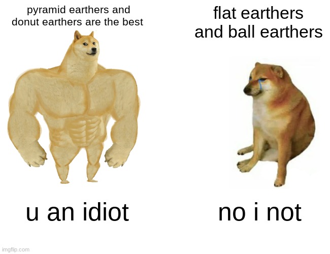 Buff Doge vs. Cheems Meme | pyramid earthers and donut earthers are the best; flat earthers and ball earthers; u an idiot; no i not | image tagged in memes,buff doge vs cheems | made w/ Imgflip meme maker