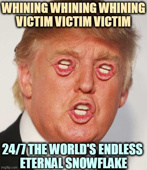 Donald, stop crying and STFU! | WHINING WHINING WHINING
VICTIM VICTIM VICTIM; 24/7 THE WORLD'S ENDLESS 
ETERNAL SNOWFLAKE | image tagged in trump,whining,crying,tears,victim | made w/ Imgflip meme maker