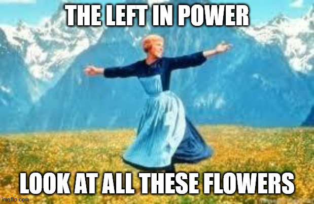 Look At All These | THE LEFT IN POWER; LOOK AT ALL THESE FLOWERS | image tagged in memes,look at all these | made w/ Imgflip meme maker