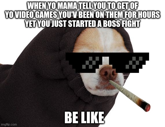 gangster dog | WHEN YO MAMA TELL YOU TO GET OF YO VIDEO GAMES YOU'V BEEN ON THEM FOR HOURS
YET YOU JUST STARTED A BOSS FIGHT; BE LIKE | image tagged in gangsta | made w/ Imgflip meme maker