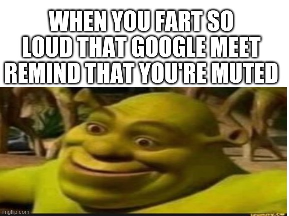 Nice... | WHEN YOU FART SO LOUD THAT GOOGLE MEET REMIND THAT YOU'RE MUTED | image tagged in memes,shrek | made w/ Imgflip meme maker
