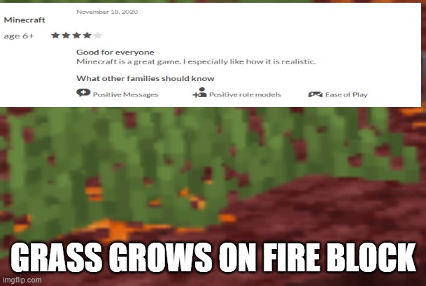 Bruh | GRASS GROWS ON FIRE BLOCK | image tagged in minecraft,review | made w/ Imgflip meme maker