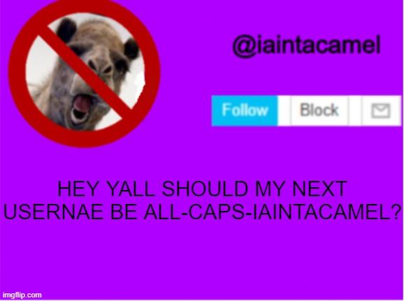 HEY YALL SHOULD MY NEXT USERNAE BE ALL-CAPS-IAINTACAMEL? | image tagged in iaintacamel | made w/ Imgflip meme maker
