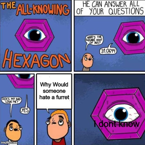Why | Why Would someone hate a furret; I dont know | image tagged in all knowing hexagon original | made w/ Imgflip meme maker