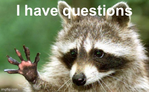 High Quality I have questions raccoon Blank Meme Template