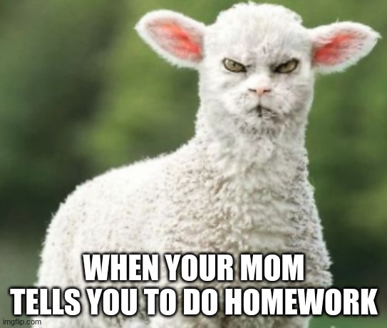 oh really??? | WHEN YOUR MOM TELLS YOU TO DO HOMEWORK | image tagged in one does not simply | made w/ Imgflip meme maker