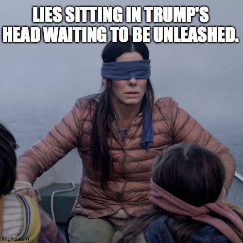 Lies | LIES SITTING IN TRUMP'S HEAD WAITING TO BE UNLEASHED. | image tagged in memes,bird box,lies,trump,loser,tantrum | made w/ Imgflip meme maker