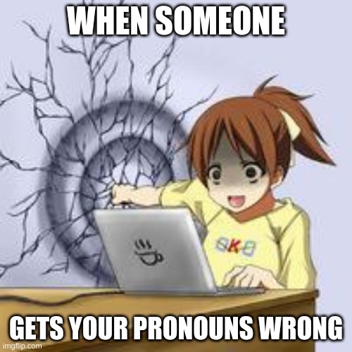 Anime wall punch | WHEN SOMEONE; GETS YOUR PRONOUNS WRONG | image tagged in anime wall punch | made w/ Imgflip meme maker