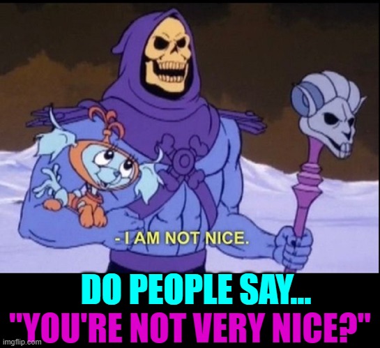 DO PEOPLE SAY... "YOU'RE NOT VERY NICE?" | made w/ Imgflip meme maker