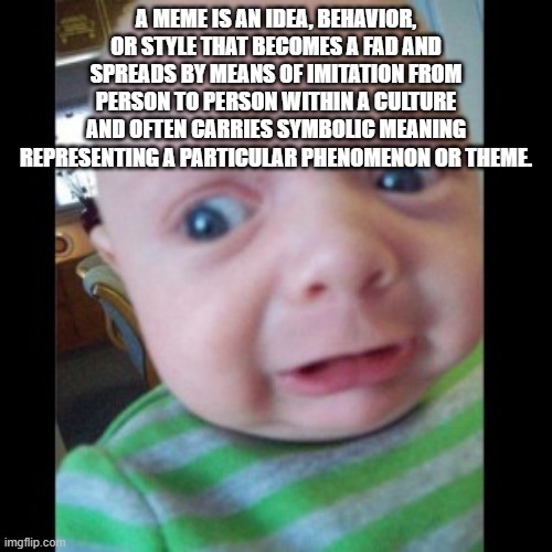 Uhhhhhhhhh... | A MEME IS AN IDEA, BEHAVIOR, OR STYLE THAT BECOMES A FAD AND SPREADS BY MEANS OF IMITATION FROM PERSON TO PERSON WITHIN A CULTURE AND OFTEN CARRIES SYMBOLIC MEANING REPRESENTING A PARTICULAR PHENOMENON OR THEME. | image tagged in uhhhhhhhhh | made w/ Imgflip meme maker