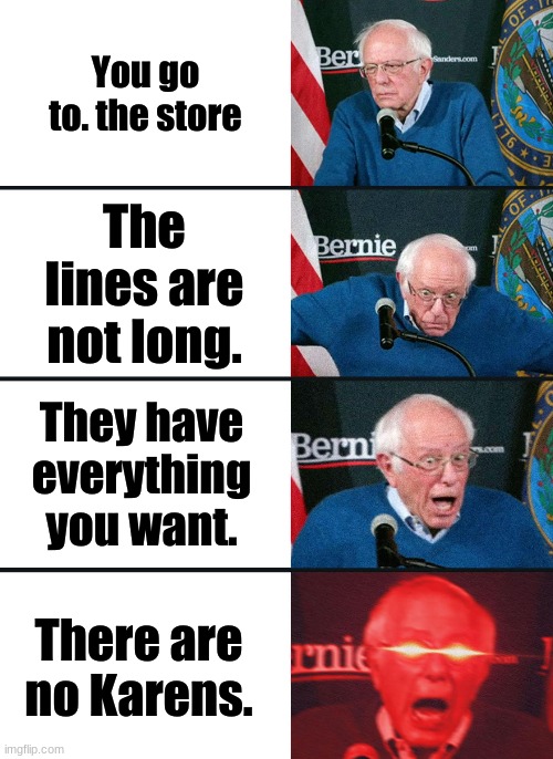 Bernie Sanders reaction (nuked) | You go to. the store; The lines are not long. They have everything you want. There are no Karens. | image tagged in bernie sanders reaction nuked | made w/ Imgflip meme maker