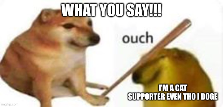 shiba bonks doge | WHAT YOU SAY!!! I’M A CAT SUPPORTER EVEN THO I DOGE | image tagged in shiba bonks doge | made w/ Imgflip meme maker