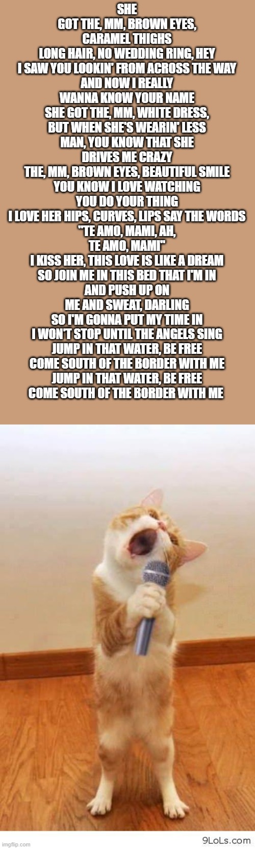 hehe i need help pls | SHE GOT THE, MM, BROWN EYES, CARAMEL THIGHS
LONG HAIR, NO WEDDING RING, HEY
I SAW YOU LOOKIN' FROM ACROSS THE WAY
AND NOW I REALLY WANNA KNOW YOUR NAME
SHE GOT THE, MM, WHITE DRESS, BUT WHEN SHE'S WEARIN' LESS
MAN, YOU KNOW THAT SHE DRIVES ME CRAZY
THE, MM, BROWN EYES, BEAUTIFUL SMILE
YOU KNOW I LOVE WATCHING YOU DO YOUR THING
I LOVE HER HIPS, CURVES, LIPS SAY THE WORDS
"TE AMO, MAMI, AH, TE AMO, MAMI"
I KISS HER, THIS LOVE IS LIKE A DREAM
SO JOIN ME IN THIS BED THAT I'M IN
AND PUSH UP ON ME AND SWEAT, DARLING
SO I'M GONNA PUT MY TIME IN
I WON'T STOP UNTIL THE ANGELS SING
JUMP IN THAT WATER, BE FREE
COME SOUTH OF THE BORDER WITH ME
JUMP IN THAT WATER, BE FREE
COME SOUTH OF THE BORDER WITH ME | image tagged in cat singer | made w/ Imgflip meme maker