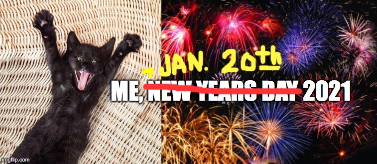 Post Trump | ME, NEW YEARS DAY 2021 | image tagged in colorful fireworks,biden,kitten,happy,january,wednesday | made w/ Imgflip meme maker