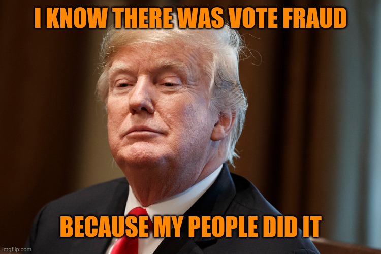 I KNOW THERE WAS VOTE FRAUD; BECAUSE MY PEOPLE DID IT | image tagged in trump | made w/ Imgflip meme maker