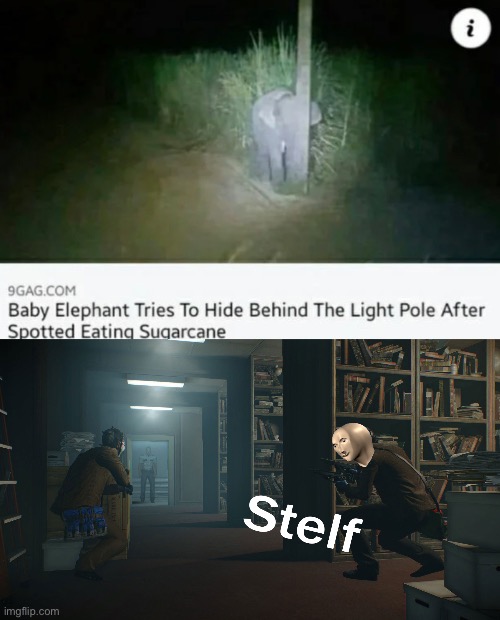 Stealthy XD | image tagged in stealth | made w/ Imgflip meme maker