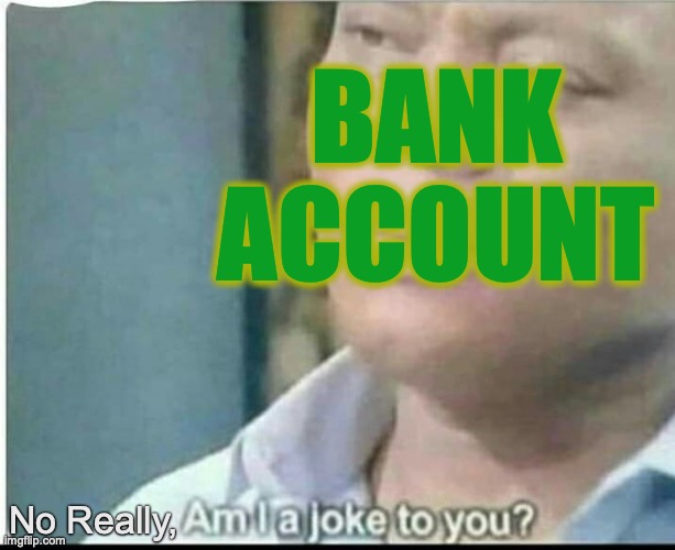 Bank Account feels insulted. | BANK ACCOUNT No Really, | image tagged in am i joke to you,bank account,no respect,why,i hate you,lol so funny | made w/ Imgflip meme maker