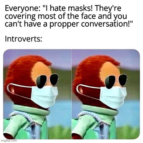 I feel seen | image tagged in face mask,covid-19,introvert,monkey puppet,repost,reposts are awesome | made w/ Imgflip meme maker
