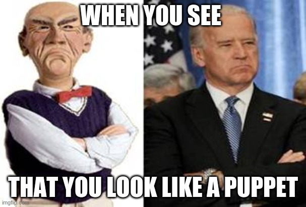 Walter and Joe | WHEN YOU SEE; THAT YOU LOOK LIKE A PUPPET | image tagged in joebiden | made w/ Imgflip meme maker
