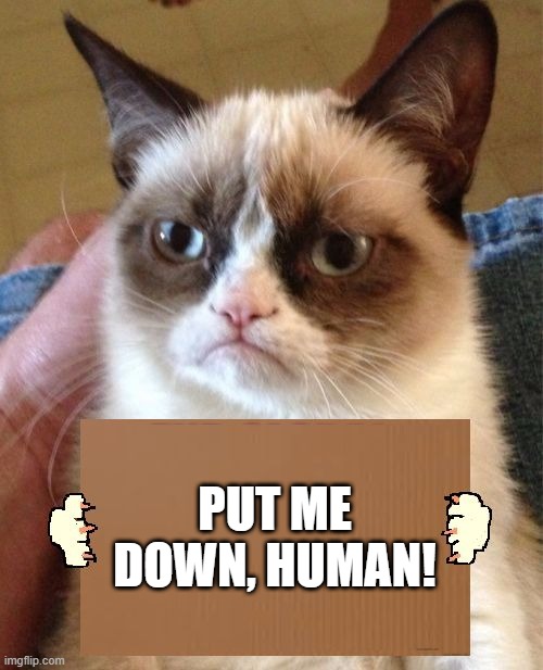 Grumpy Cat Cardboard Sign | PUT ME DOWN, HUMAN! | image tagged in grumpy cat cardboard sign | made w/ Imgflip meme maker