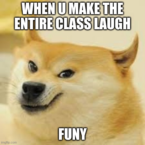 Funy |  WHEN U MAKE THE ENTIRE CLASS LAUGH; FUNY | image tagged in doge | made w/ Imgflip meme maker