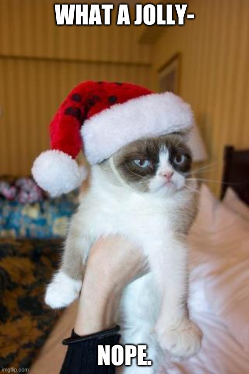 Grumpy Cat Christmas | WHAT A JOLLY-; NOPE. | image tagged in memes,grumpy cat christmas,grumpy cat | made w/ Imgflip meme maker