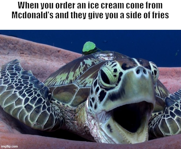 When you order an ice cream cone from Mcdonald's and they give you a side of fries | made w/ Imgflip meme maker