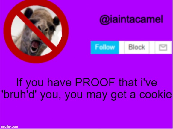 lol | If you have PROOF that i've 'bruh'd' you, you may get a cookie | image tagged in iaintacamel | made w/ Imgflip meme maker