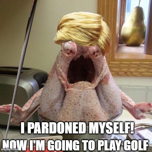 Trump Turkey Pardon | I PARDONED MYSELF! NOW I'M GOING TO PLAY GOLF | image tagged in turkey,trump,pardon,golf,thanksgiving,criminal | made w/ Imgflip meme maker