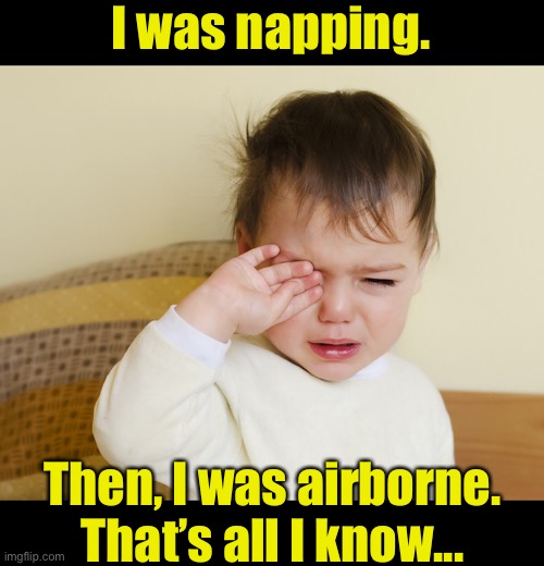 I was napping. Then, I was airborne. That’s all I know... | made w/ Imgflip meme maker