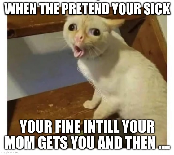 Coughing Cat | WHEN THE PRETEND YOUR SICK; YOUR FINE INTILL YOUR MOM GETS YOU AND THEN .... | image tagged in coughing cat | made w/ Imgflip meme maker