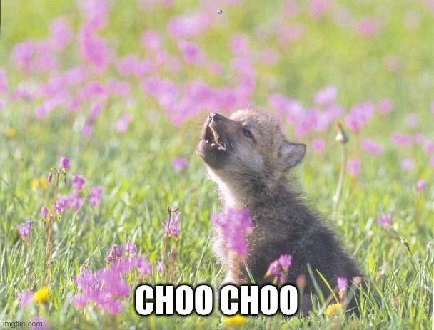 Baby Insanity Wolf Meme | CHOO CHOO | image tagged in memes,baby insanity wolf | made w/ Imgflip meme maker