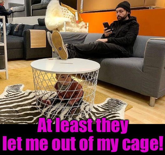 At least they let me out of my cage! | made w/ Imgflip meme maker