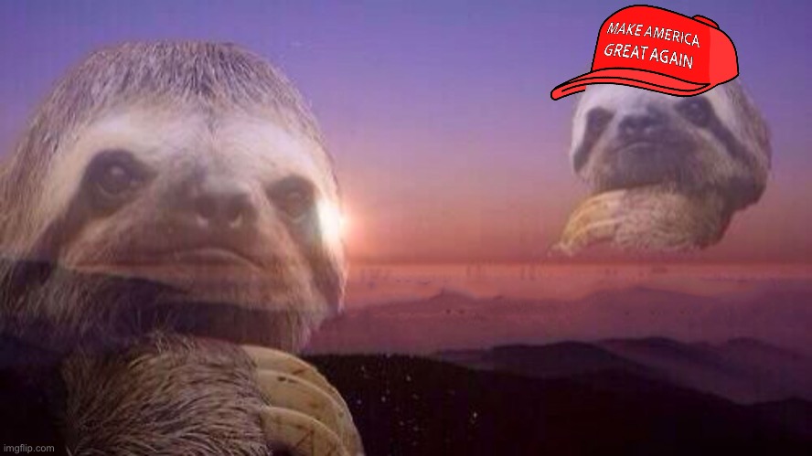 Sloth vs. MAGA sloth | image tagged in sloth knowledge is power without words,sloth,new template,custom template,maga,election 2020 | made w/ Imgflip meme maker