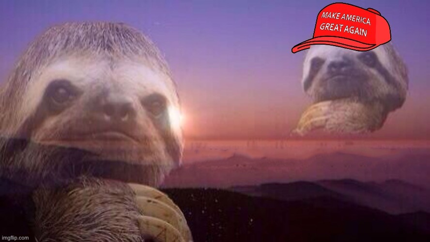 Sloth vs. MAGA sloth | image tagged in sloth vs maga sloth,sloth,maga,election 2020,2020 elections,custom template | made w/ Imgflip meme maker