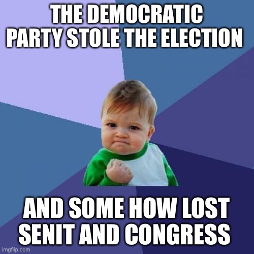 Success Kid | THE DEMOCRATIC PARTY STOLE THE ELECTION; AND SOME HOW LOST SENIT AND CONGRESS | image tagged in memes,success kid | made w/ Imgflip meme maker